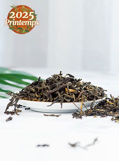 Dian Hong vieux théiers : thé noir grand cru du Yunnan