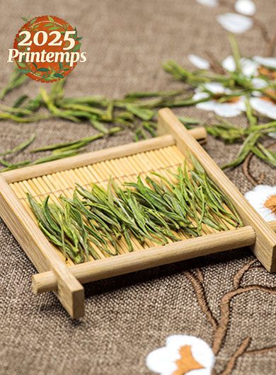 Anji Bai Cha : thé vert