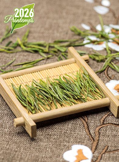 Anji Bai Cha : thé vert