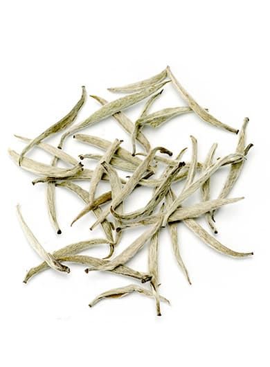 Aiguilles d'Argent - YinZhen : thé blanc Sichuan