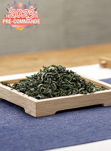 Pré-commande Ming Qian Long Ya classico : thé vert du Sichuan