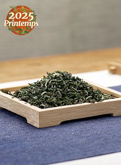 Ming Qian Long Ya classico : thé vert du Sichuan