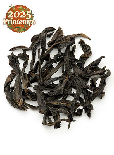 Da Wu Ye DanCong : WuLong du Guangdong