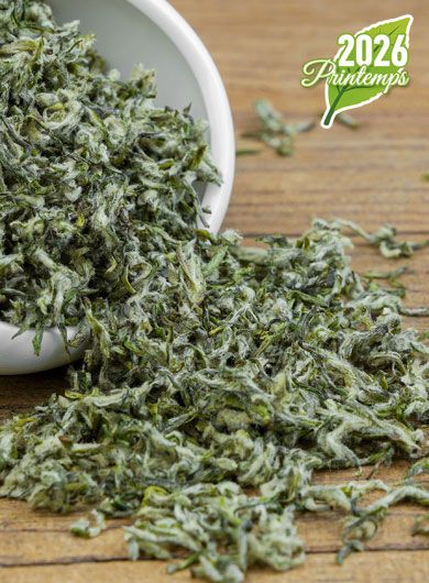 Bi Luo Chun Ming Qian Dong Ting