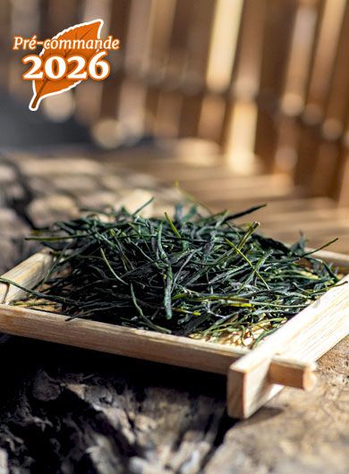 Pré-commande EnShi Yu Lu Primé : thé vert