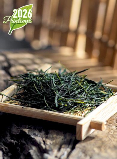 EnShi Yu Lu Primé : thé vert