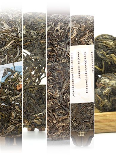Échantillons Pu-erh cru à l'arôme fruité