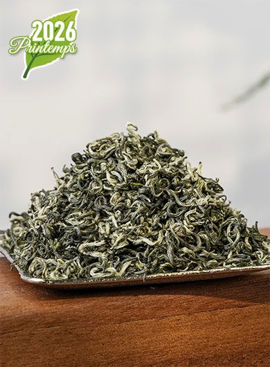 Bi Luo Chun premium : thé vert