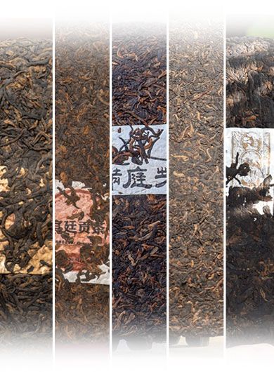 Échantillons Pu-erh cuit à l'arôme glutineux