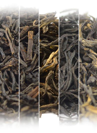 Échantillons de thés pour le « thé au lait »