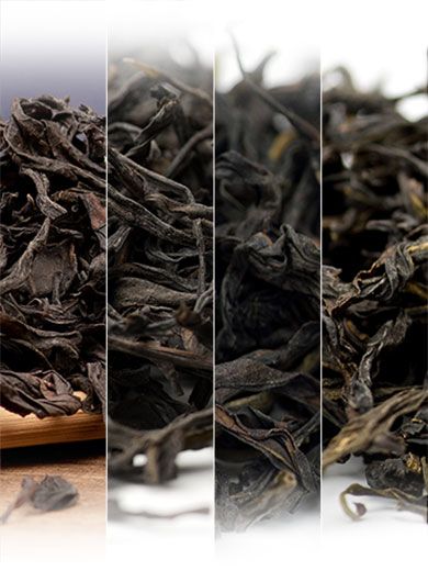 Échantillons de Wulong « Phoenix Dan Con » de la province du Guangdong.