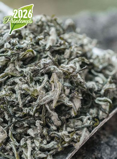 Bi Luo Chun Ming Qian Dong Ting