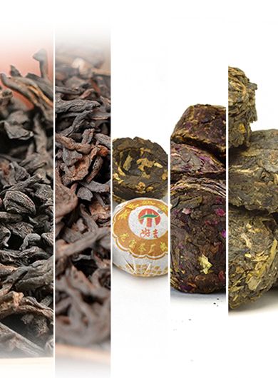 Échantillons de thés sombres et Pu'Er parfumés