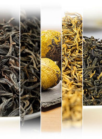 Échantillons de thés noirs aux arômes floraux et miellés