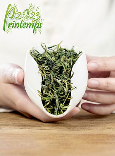 Huang Shan Mao Feng Classico : thé vert