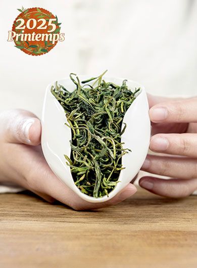 Huang Shan Mao Feng Classico : thé vert