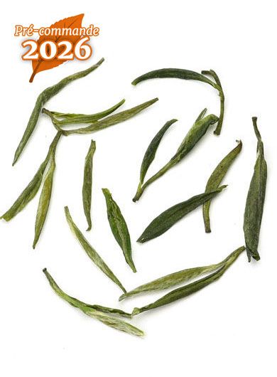 Pré-commande Huo Shan Huang Ya Primé : thé jaune