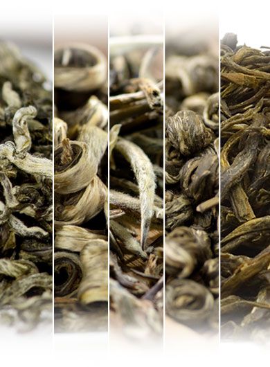 Échantillons de thés au jasmin, série 2.