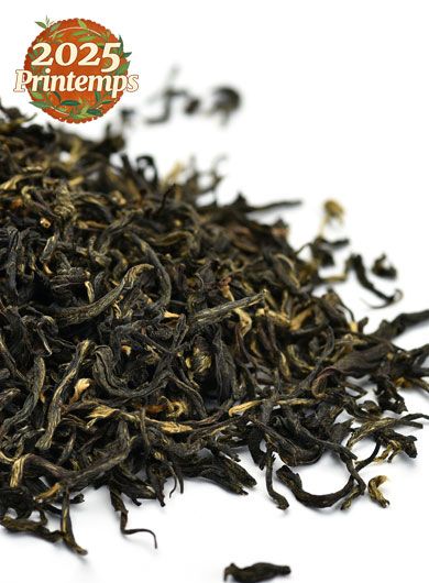 Singe doré de Guizhou : thé noir biologique