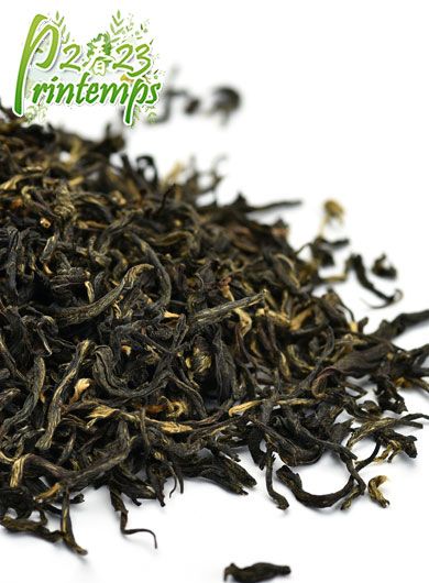 Singe doré de Guizhou : thé noir biologique