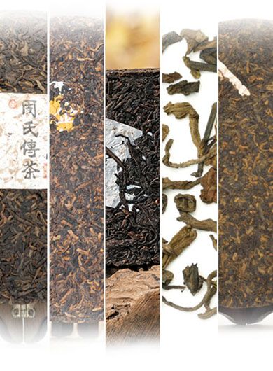 Échantillons Pu-erh cuit à l'arôme de jujube