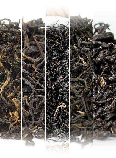 Échantillon de thés noirs «Keemun » de la région de Qimen. 