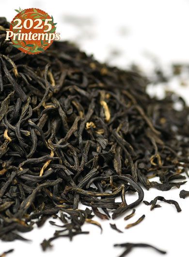 Qi Men Hao Ya : thé noir