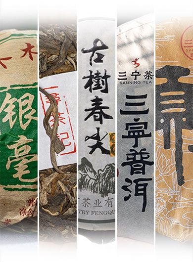 Assortiment de Puerh de la région de Lingcang dans le Yunnan.