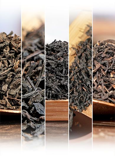 Assortiment de thés sombres Liu Bao.
