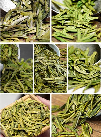 Collection d'échantillons de thés Longjing «Puits du Dragon» pour toute la famille