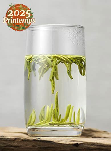 Ming Qian Long Ya grand cru : thé vert du Sichuan 
