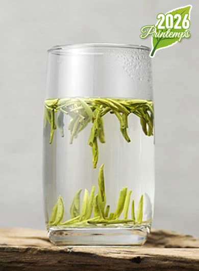 Ming Qian Long Ya grand cru : thé vert du Sichuan 