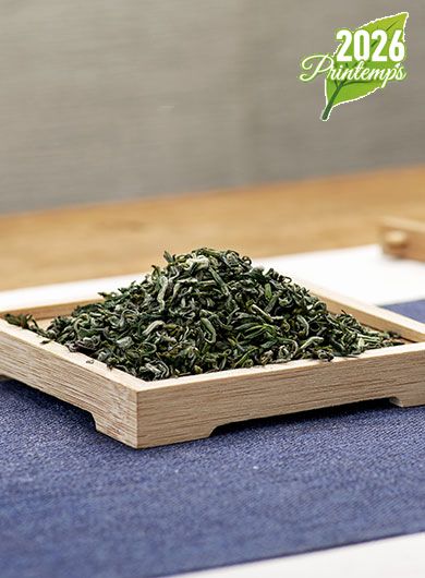 Ming Qian Long Ya classico : thé vert du Sichuan