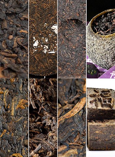 Échantillons de Pu-Erh cuits de diverses régions : Pack A