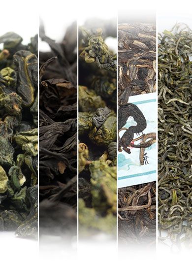 Échantillons de thés « Milky » et floraux