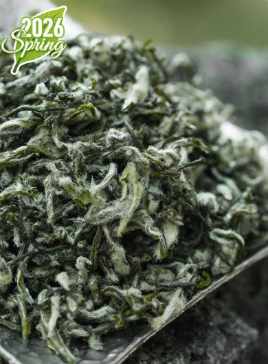 Bi Luo Chun Ming Qian Dong Ting