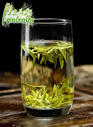 LongJing Bio Grand Cru MingQian : thé vert