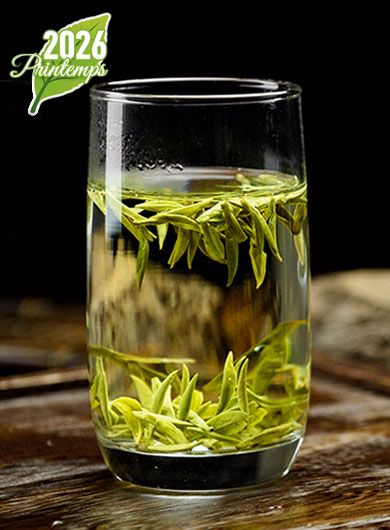 LongJing Bio Grand Cru MingQian : thé vert
