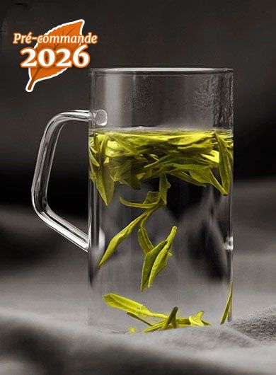 Long Jing Bio Puits du dragon primé : thé vert