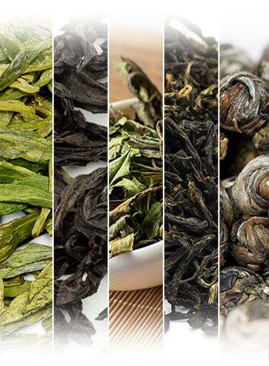 Échantillons de thés « Bio »