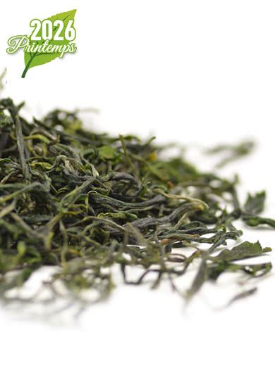 Tian Mu Mao Feng Bio : Thé vert