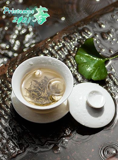 Flocons de jasmin PiaoXue : thé vert parfumé