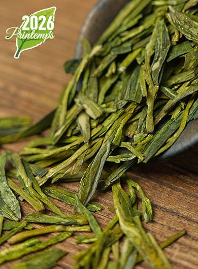 Puits du Dragon Grand Ordinaire : thé vert