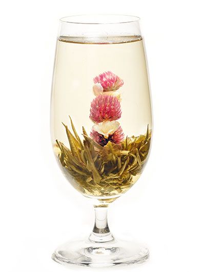Rouge et blanc : fleur de thé vert