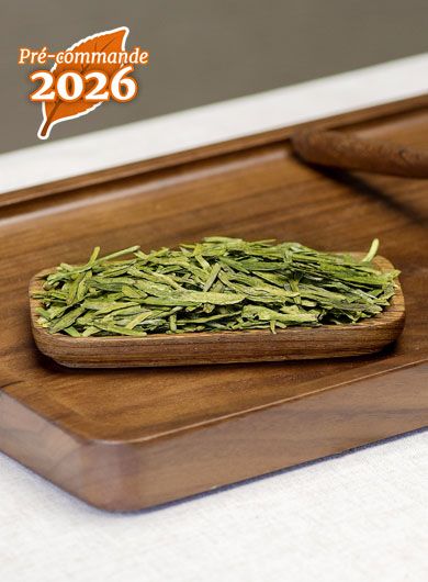 Pré-commande Long Jing premium primé : thé vert