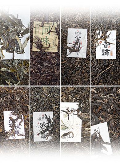 Assortiment N° 2 de Puerh crus hauts de gamme du Yunnan.