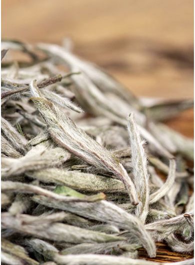 Aiguilles d'Argent - BaiHao YinZhen prestige : thé blanc 