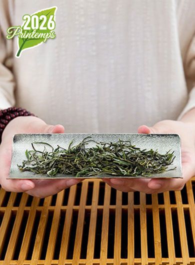 TianMu Yun Wu Bio : thé vert