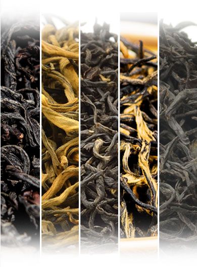 Assortiment des meilleurs ventes de thé noir.