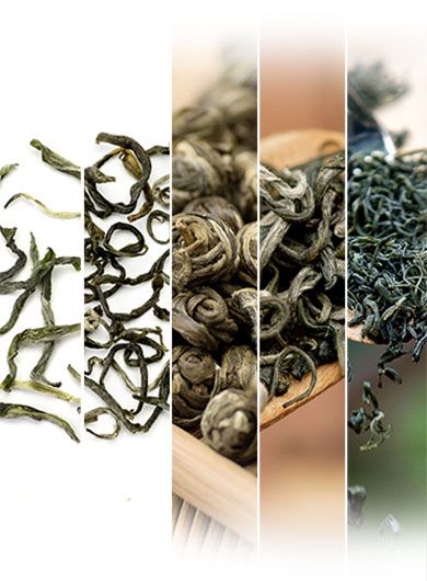 Assortiment des meilleurs ventes de thé vert